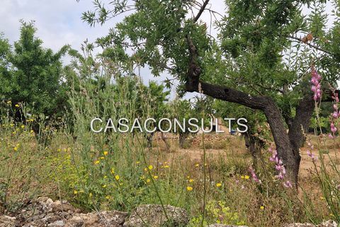 Masia a Les Useras, Castellon, Les Useras - € 140.000 | Ref: 874 - foto 18